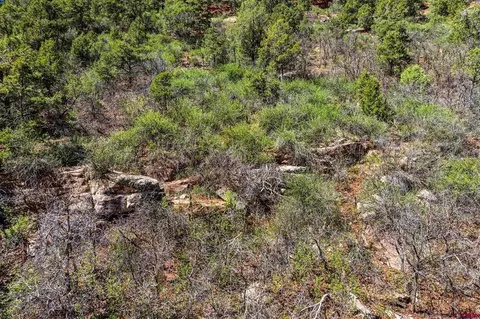 4343 County Road 203, Durango, CO 81301 photo 20