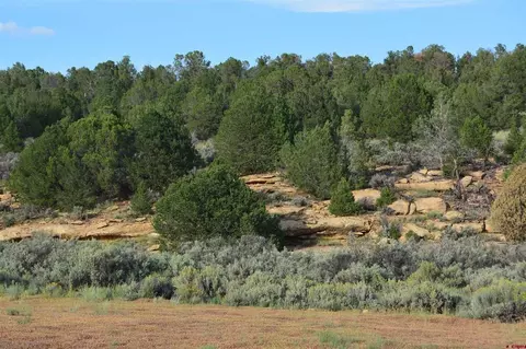 tbd County Road 109, Hesperus, CO 81326