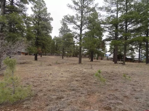 601 Oxbow Cir, Pagosa Springs, CO 81147