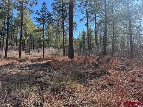 1086 Edgemont Highlands Dr, Durango, CO 81301 photo 8