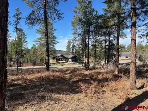 1086 Edgemont Highlands Dr, Durango, CO 81301 photo 7