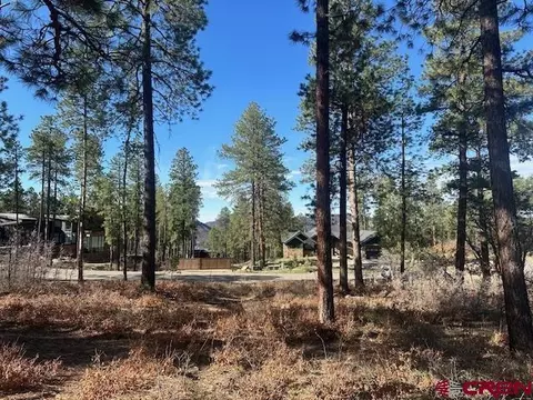 1086 Edgemont Highlands Dr, Durango, CO 81301 photo 6