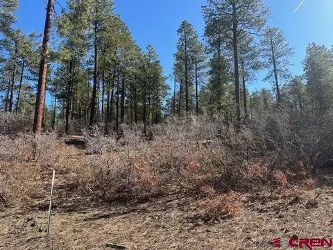 1086 Edgemont Highlands Dr, Durango, CO 81301 photo 5