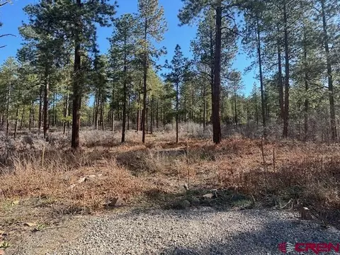1086 Edgemont Highlands Dr, Durango, CO 81301 photo 4