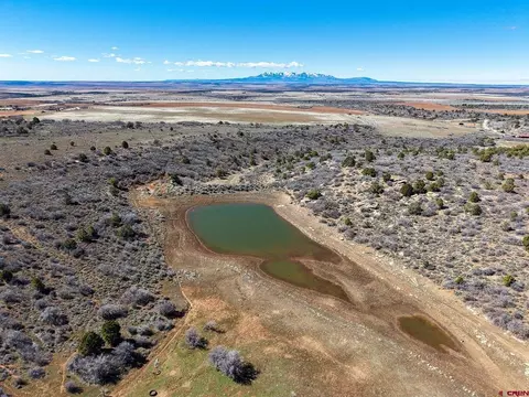 tbd Wp County Line Rd, Dove Creek, CO 81324