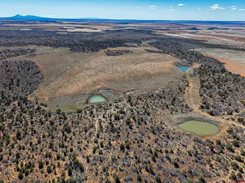 tbd Wp County Line Rd, Dove Creek, CO 81324