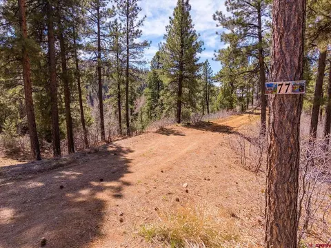 77 Culebra Cir, Durango, CO 81301 photo 29