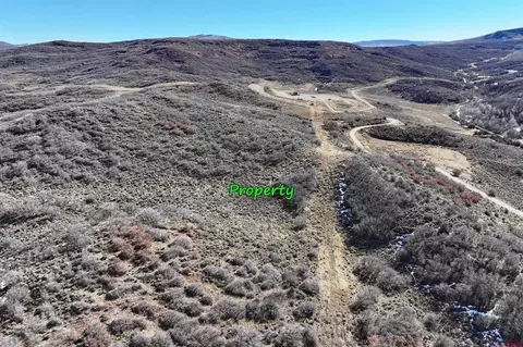 tbd Harrison Gulch Rd, Collbran, CO 81624 photo 8
