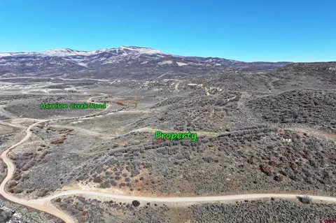 tbd Harrison Gulch Rd, Collbran, CO 81624 photo 3