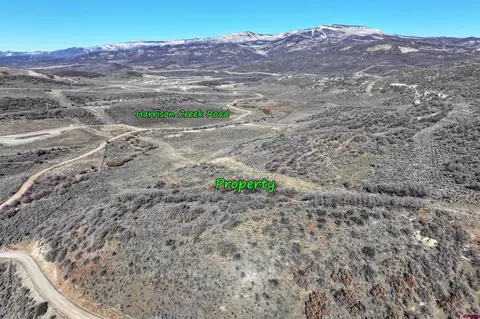 tbd Harrison Gulch Rd, Collbran, CO 81624 photo 4