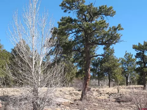 190 Church Creek Cir, South Fork, CO 81154