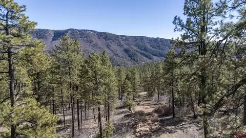lot5 A Taylor Rnch, Durango, CO 81301 photo 3