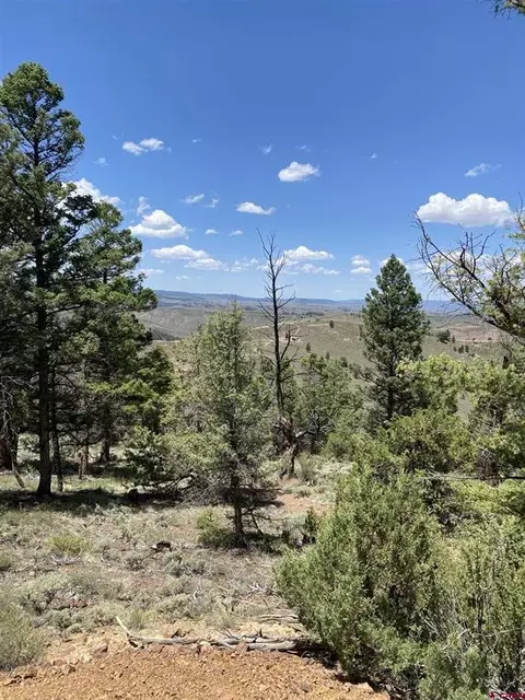 tbd Goose Creek Rd, Powderhorn, CO 81243