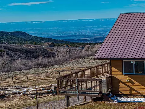 Exterior - 25615 Starner Loop Rd, Cedaredge, CO 81413 photo 5 of 9