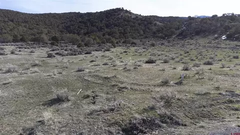 tbd Lot 23 7250 Rd, Montrose, CO 81403