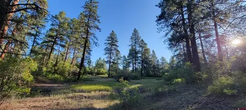 lot5 Beaver Creek Ranch Dr, Bayfield, CO 81122