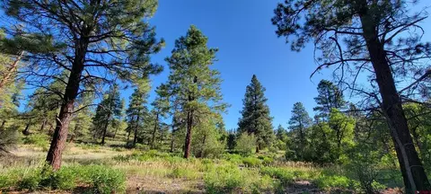 lot8 Beaver Creek Ranch Dr, Bayfield, CO 81122