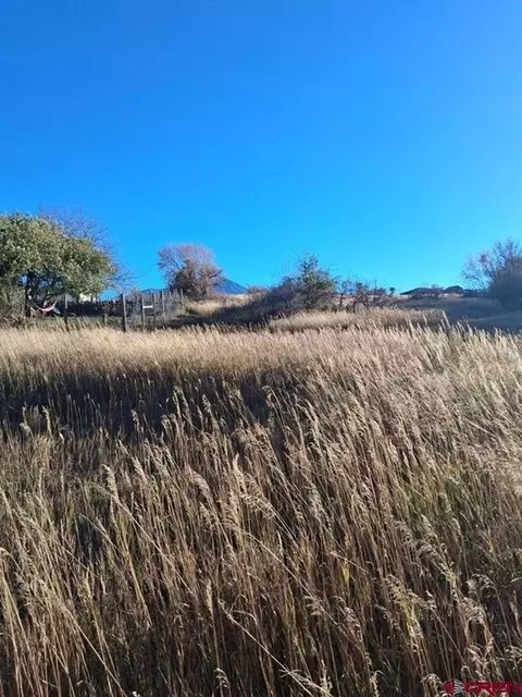 tbd E Grand, La Veta, CO 81055