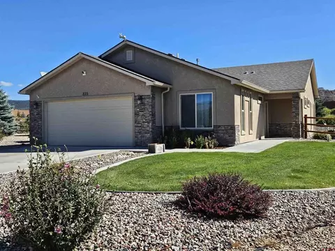 335 SE Cobblestone Ct, Cedaredge, CO 81413