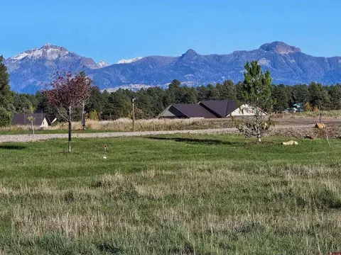 1338 Antelope Ave, Pagosa Springs, CO 81147