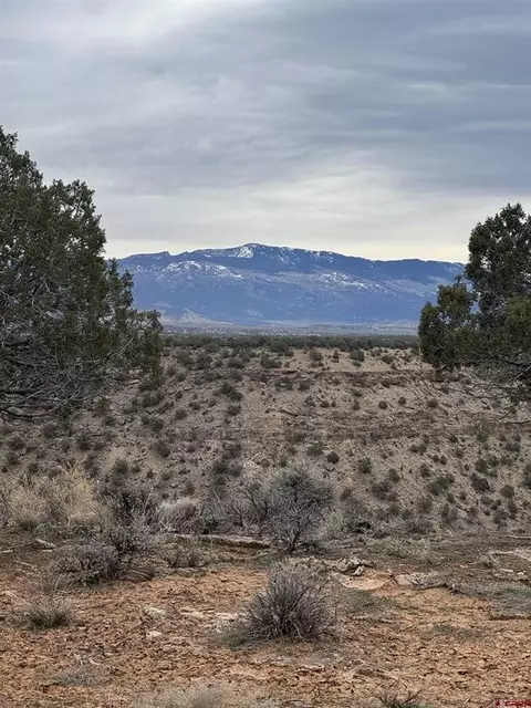18858 Rocky Road Trl, Montrose, CO 81403