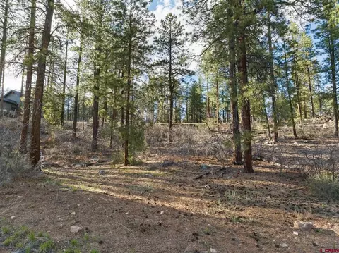 102 Red Canyon Ct, Durango, CO 81301 photo 9