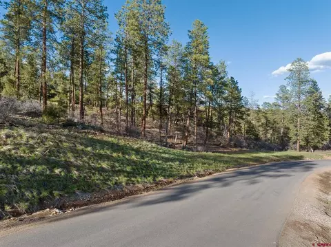 102 Red Canyon Ct, Durango, CO 81301 photo 7