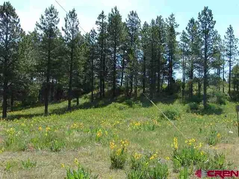 198 S Honeysuckle Ave, Pagosa Springs, CO 81147