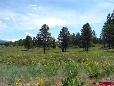 146 S Honeysuckle Ave, Pagosa Springs, CO 81147