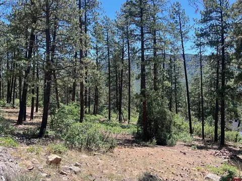 767 Red Canyon Trl, Durango, CO 81301 photo 17