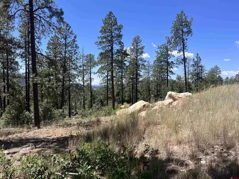 767 Red Canyon Trl, Durango, CO 81301 photo 18