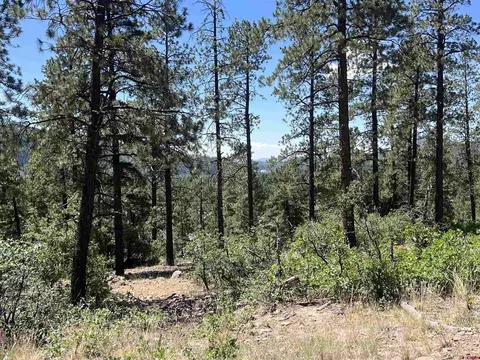 767 Red Canyon Trl, Durango, CO 81301 photo 20
