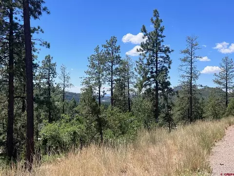 767 Red Canyon Trl, Durango, CO 81301 photo 16