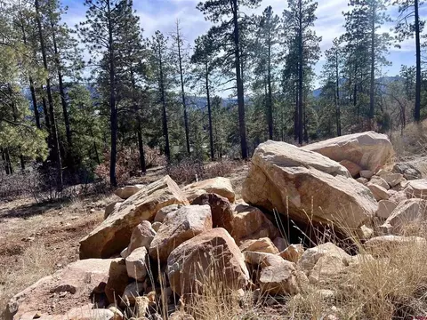 767 Red Canyon Trl, Durango, CO 81301 photo 4