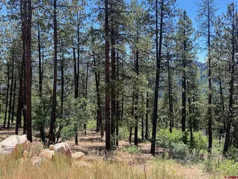 767 Red Canyon Trl, Durango, CO 81301 photo 6