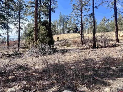 767 Red Canyon Trl, Durango, CO 81301 photo 7