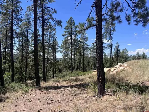 767 Red Canyon Trl, Durango, CO 81301 photo 19
