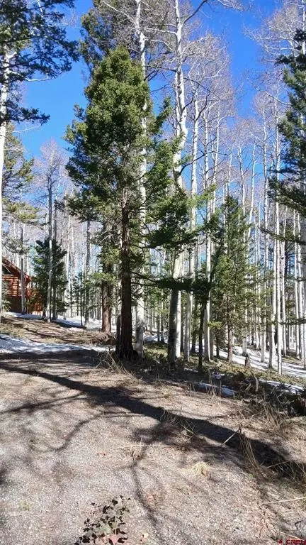 591 Crest Dr, Cimarron, CO 81220 photo 9