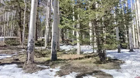 591 Crest Dr, Cimarron, CO 81220 photo 5