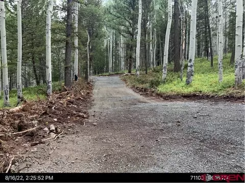 591 Crest Dr, Cimarron, CO 81220 photo 11