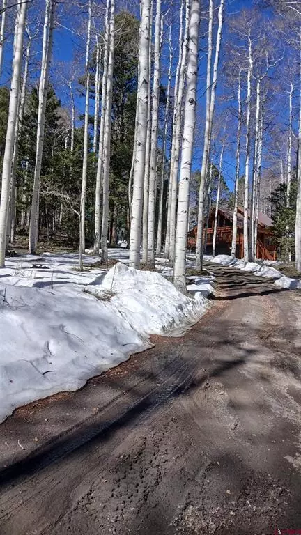 591 Crest Dr, Cimarron, CO 81220
