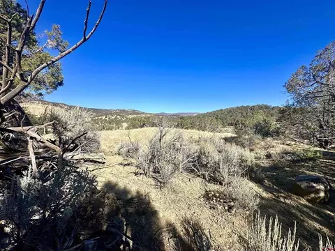 tbd Cactus Park Rd, Cedaredge, CO 81413