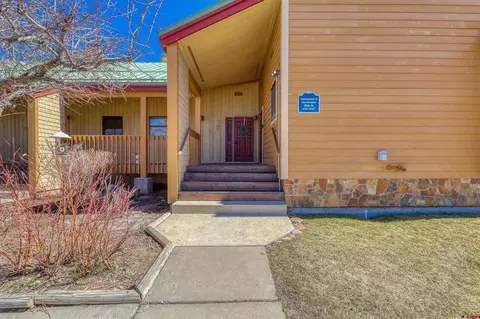 247 Davis Cup #4203, Pagosa Springs, CO 81147