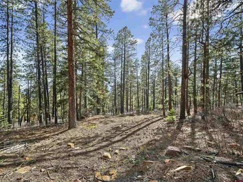 Exterior - 923 Groves Dr, Durango, CO 81301 photo 6 of 9