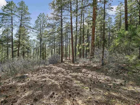Exterior - 923 Groves Dr, Durango, CO 81301 photo 8 of 9