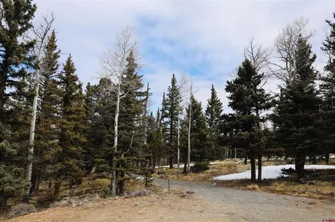 tbd Cochetopa Trl, Powderhorn, CO 81243