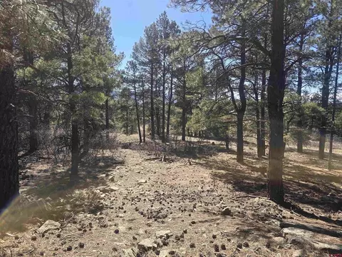 96 Woodridge Cir, Pagosa Springs, CO 81147