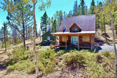 851 Kebler Trl, Powderhorn, CO 81243