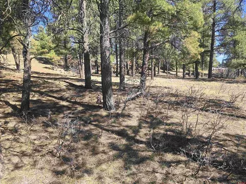 110 Woodridge Cir, Pagosa Springs, CO 81147
