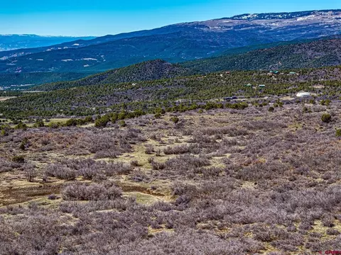lot23 Highway 65, Cedaredge, CO 81413